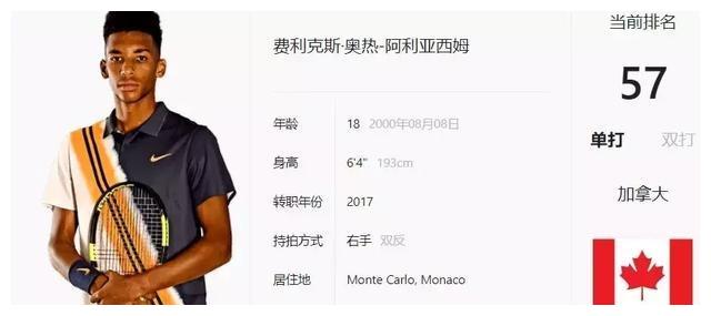 追平了此前 追平了此前