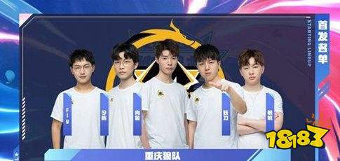 议引发的治